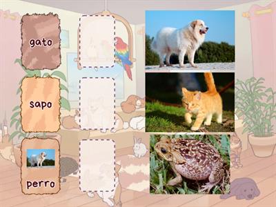 Juego de los animales 