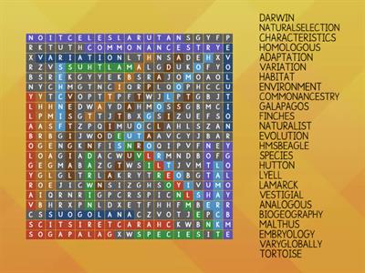 Evolution Wordsearch