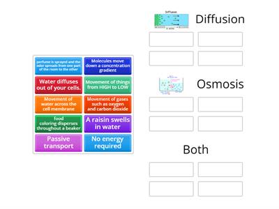 Diffusion vs. Osmosis Review
