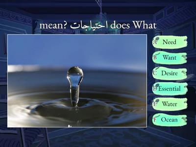 arabic quiz/ words 