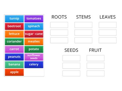 THE PARTS OF THE PLANT WE EAT