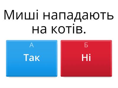 ТАК або НІ