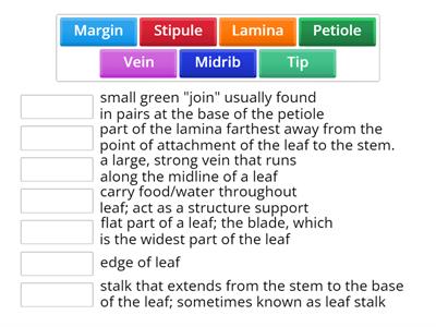 Simple leaf - definitions