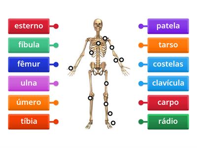 202 CORPO E MOVIMENTO