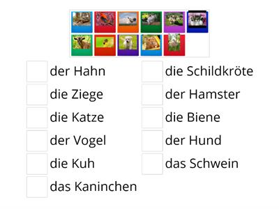 Wie heißen die Tiere auf Deutsch?