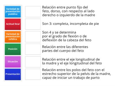 Estática Fetal