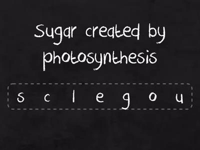 Photosynthesis Anagrams