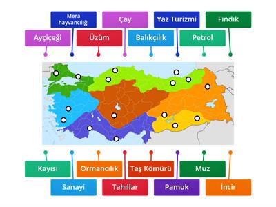 EKonomik Faaliyetler ve Dağılımı