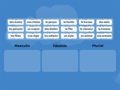 Masculin, féminin et pluriel : mots à classer (débutants)