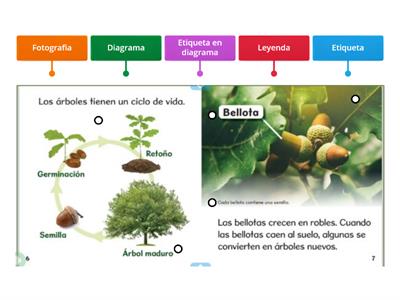 Encuentra los elementos de no ficcion #2