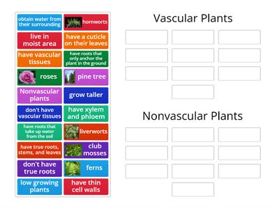 Vascular vs. Nonvascular Plants