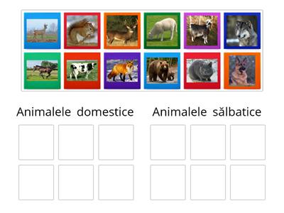 Sortează animalele domestice și animalele sălbatice