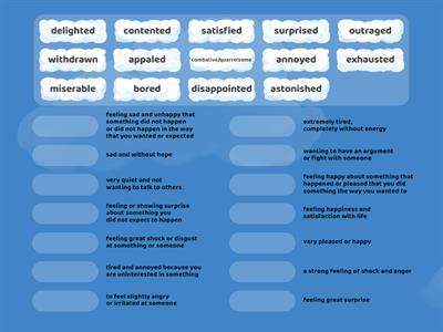 Feelings and emotions B1