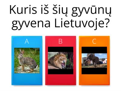 Lietuvos gyvūnai