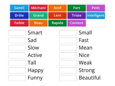 Adjectives en Francais - Primary