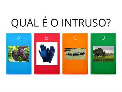 QUAL É O INTRUSO?