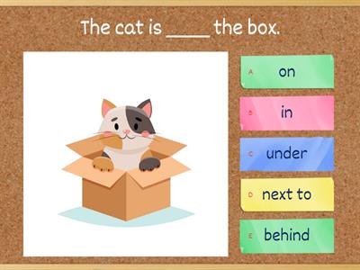 Prepositions of place | The cat & the box
