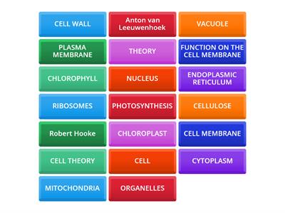 CELL VOCABULARY QUIZ REVIEW GAMES