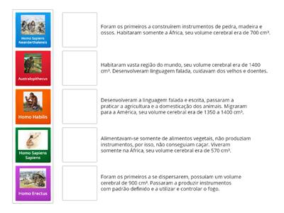 Evolução humana