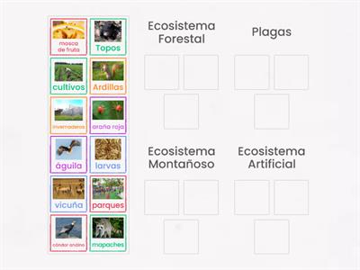 ECOSISTEMAS