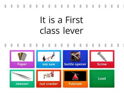 Quiz on different types of levers 