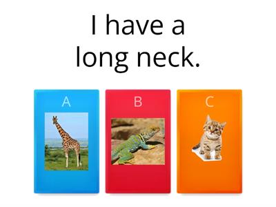 G2 Animal Quiz