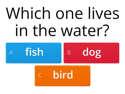 Classification of Animals