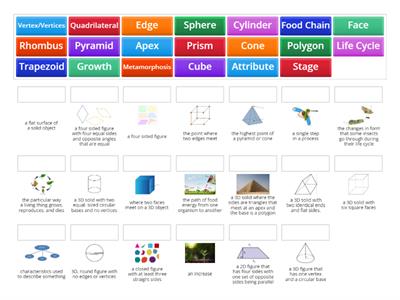 Cluster 4 Math and Science Vocabulary 