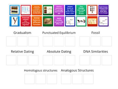 Evidence of Evolution Part I