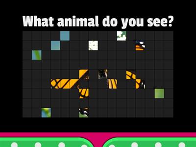 Animal Reveal Game