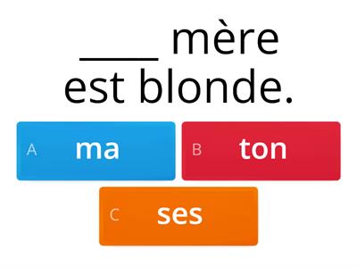 CBE BOW OTL Frans functioneren Les adjectifs possessifs