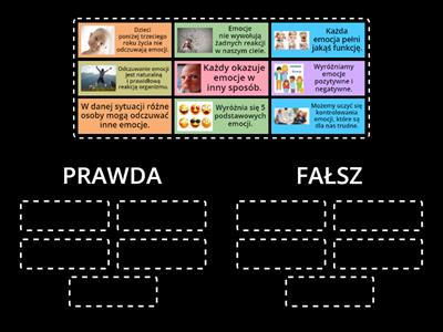 EMOCJE- PRAWDA / FAŁSZ