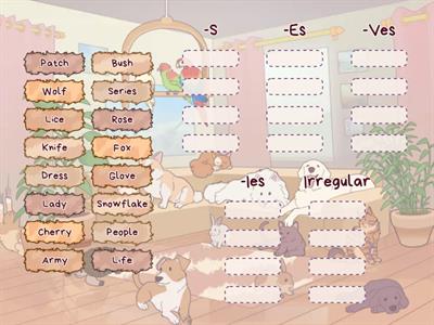 Plural Nouns (Regular & Irregular)