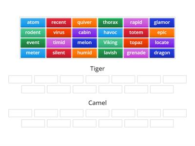 Division Sort - Tiger or Camel? 