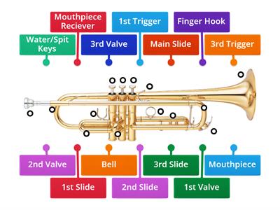Trumpet Labeling Diagram