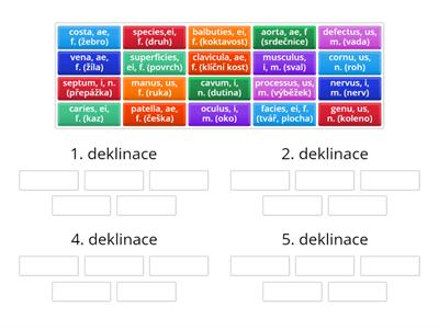 Třídění substantiv podle deklinací (1. - 5. deklinace, mimo 3.)