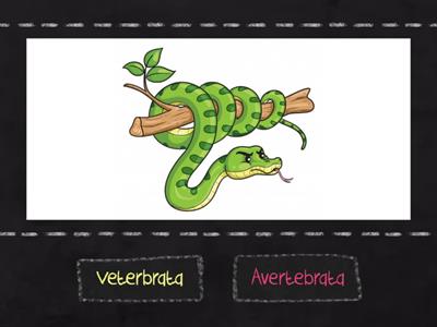 Game Hewan Vertebrata & Avertebrata