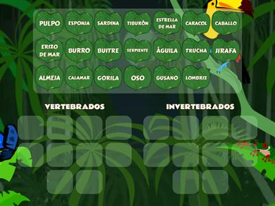 ANIMALES VERTEBRADOS E INVERTEBRADOS