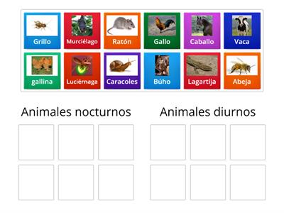 Animales nocturnos y diurnos