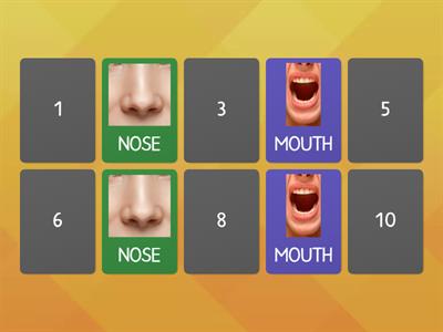 PARTS OF THE FACE- MEMORY GAME