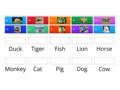 Match the animals