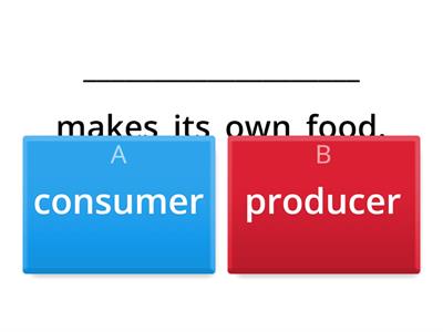 Food Chain