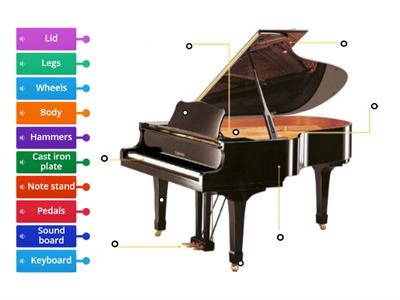 Anatomy of a Piano