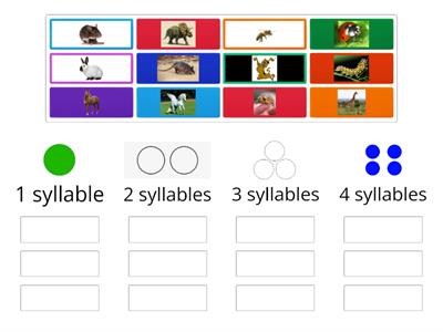 sorting animal syllables