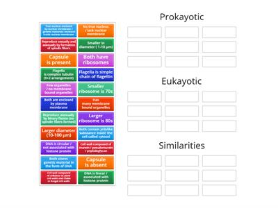 Compare between prokaryotic cell  and eukaryotic cells