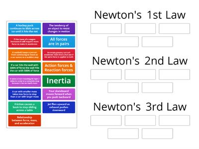 Sorting Newton`s Laws - Wicker