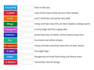 EC A2 Plus Unit 3 - Animals and their features
