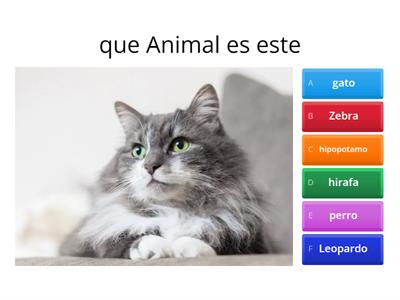 Los animales Quiz 