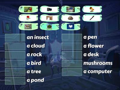 CM1 Vocabulary game