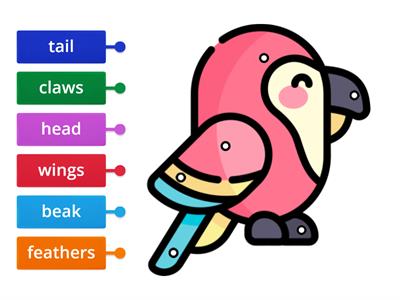 Parrot - body parts (Pop 3 - unit 3)